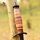 Tactical Handmade Fixed Double Edged Carbon Steel Blade Dagger Knife Case Stilto