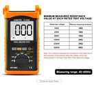 Resistance Tester ohmmeter  megger  voltmeter 5000v 200g   cat Iv rugged outdoor