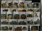 Lot  3 Wild Animals Postage Stamps Lot Benin Cambodia W Sahara 1984-99