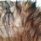Brown Wolf Fur Baby Photo Prop Newborn Nest Photography Blanket Free Shipping   