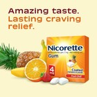 Nicorette 4 Mg Nicotine Gum To Help Quit Smoking - Fruit Chill Flavored Stop   