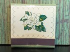 Vintage Matchbook Unstruck Full Feature Johnston s Coffee Shop Daytona Beach