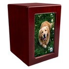 Redwooden Funeral Cremation Urn With Photo Frame For Dogs And Cats m 26-45lbs 