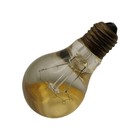 Thomas Edison 1956 Resin Paperweight Lamp Shade Inclusion Gift For Her