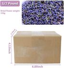 Dried Lavender Flowers  Natural Buds  Fragrant 1 2 Pound 