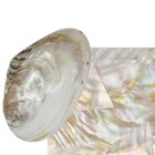 5 Pieces Shell Sheet Veneer Inlay 9-1 2 x5-1 2   240x140mm  Luthier