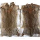 5pcs Real Natural Rabbit Skin Pelts Fur Hides Soft Leather Mats Tanned Craft Diy