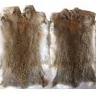 5x Real Rabbit Skin Pelts Natural Animal Fur Hides Soft Tanned Leather Craft Diy