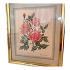 Vintage Print  Framed Old Scented Roses  mme Pierre Oger  1975 Leslie Greenwood 
