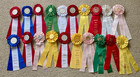 Vintage Lot 20 Horse Show Equestrian Rosette Award Ribbons Red Yellow Li Ny    