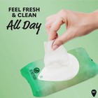 Summer s Eve Feminine Cleansing Wipes  Aloe Love  32 Count  20 Pack