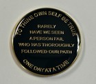 31 Year  xxxi  Aa Medallion Black Gold Alcoholics Anonymous Sobriety Chip Coin