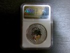     2019 Great Britian The Queen s Beasts Bu 2 Oz Silver   5- By Ngc  0 999 Fine     