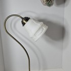Art Nouveau Gooseneck Style Lamp Satin Glass Shade Floral Filigree Pattern
