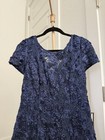 Alex Evenings Navy Blue Sequin Lace Rosette Formal  Gown Dress  269 Size 10