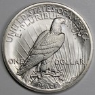 Daniel Carr 1964 Peace Dollar  Brilliant Satin  High Grade  Broken Sword Reverse