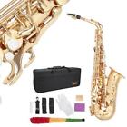 New Glarry Brass Eb Alto Saxophone Sax Gold With Case Student Beginner