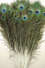 50 Pcs Peacock Feathers 35 -40  Long  Vibrant Decorative Craft Supplies