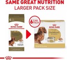 Royal Canin Breed Health Nutrition Dachshund Adult Wet Dog Food - 3 Oz  18 Cans