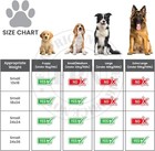 Dog Training Pads 5-layer Pet Pads Absorbent Pet Underpads All Types By Fpn-llc