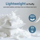 24x24 Euro Pillow Inserts Set Of 2  Premium Down Feather Pillows For Couch 