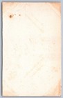 Blotter Maltine Plain Malt Soup Extract Advertising Woman W  Box Of Maltine