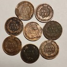 Lot Of 8 Indian Head Small Cent  Circ Coins-various Cond  descrip For Dates   2