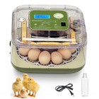 12 Eggs Poultry Incubator Automatic Turning Chicken Hatcher Temperature Control