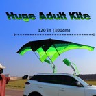 Huge 3d Adult Gliders Kite  120  In Giant Single Line Kites With Two 17ft 3d Tai