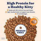 High Protein Dry Cat Food - Grain Free   Gluten Free Chicken Cat Dry Food W prob