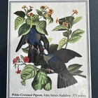 Liberty Wooden Jigsaw Puzzle White-crowned Pigeon Retired 373 Pieces Complete