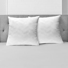  2 Pack  Euro Pillow
