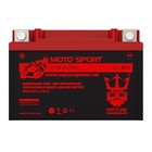 Ytx9-bs 01-17 Honda Trx250ex  Te  Em Neptune Power Replacement Battery