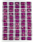 1973 The Long Goodbye  lot 55 Cells  Unmounted Film Movie Trailer Elliott Gould