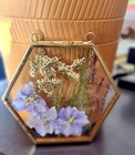 Wall Art Dried Pressed Real Flowers In Glass Frame Hexagon  3 5 In Handmade Gift