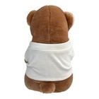 Vintage Hard Rock Cafe Orlando Bear     8    Seated Plush