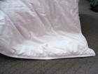 Pottery Barn 100  European White Goose Down Comforter King queen
