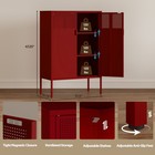 Metal Storage Cabinet 2 Door Tv Stand  Metal Mesh Accent Cabinet