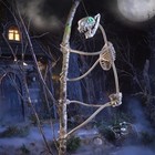 Home Accents 3-pack 5 5 Ft Led Ultraposeable Constrictor Skeleton Halloween Prop