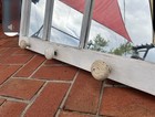 White Salvage Wood Window Sash W  6-pane Glass  Rectangle Frame
