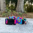 1 Inch Wide Breakaway Dog Collar For Large Dogs - Rainbow Tie Dye Made In Usa