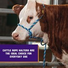 Adjustable Braided Poly Rope Cattle Halter Cow Calf Livestock Lead Show Halter