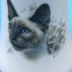 Vintage Siamese Cat Salt   Pepper Shakers Ceramic 3    Blue Eyes