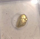 Gold Nugget 4 80 Grams Icg Genuine Nd Graded