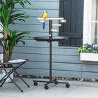 Bird Play Stand  Portable Parrot Perch  Bird Feeder Station  Grey