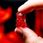 Lil  Nitro Gummy Bear  worlds Hottest Gummy Bear  Gummi Tik Tok Flamethrower Hot