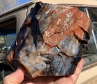       rr     Top Quality Opal agate Replaced Petrified Wood  Ne Az  4 25 Lb      