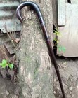 Original African Blackwood   Rosewood Art Walking Stick Cane Handmade Unisex
