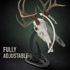 European Mount Skull Hanger     Adjustable Deer Skull Mount Stand For Table  Desk 