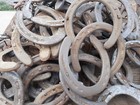 Used Steel Horseshoes Crafts Western Wedding Decor Lot Of 40